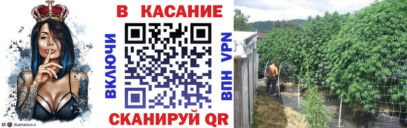 Что такое Бирск A PVP  Марихуана  Мефедрон  Гашиш  Cocaine 