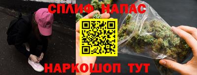 шишки Заводоуковск