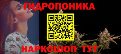 шишки Заводоуковск