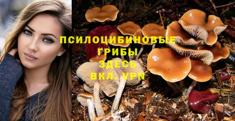 Псилоцибиновые грибы MAGIC MUSHROOMS  даркнет сайт  Бирск 