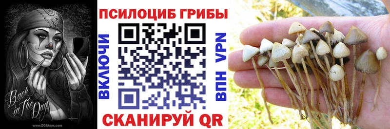 Галлюциногенные грибы Cubensis  где можно купить наркотик  Бирск 