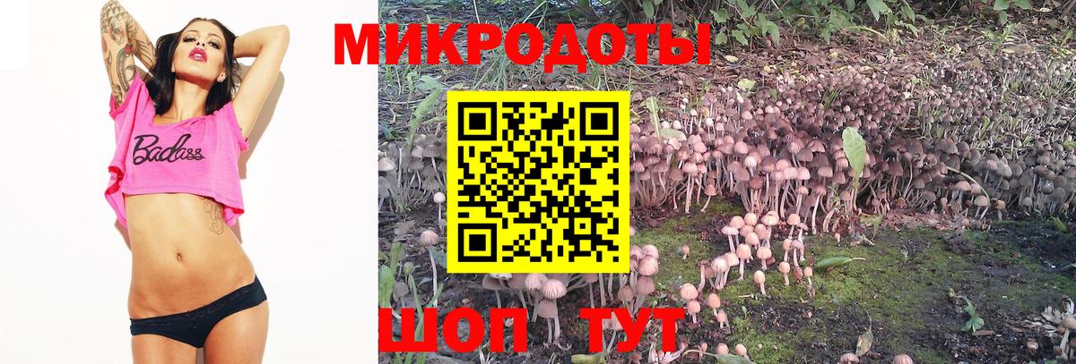 Галлюциногенные грибы ЛСД Бирск