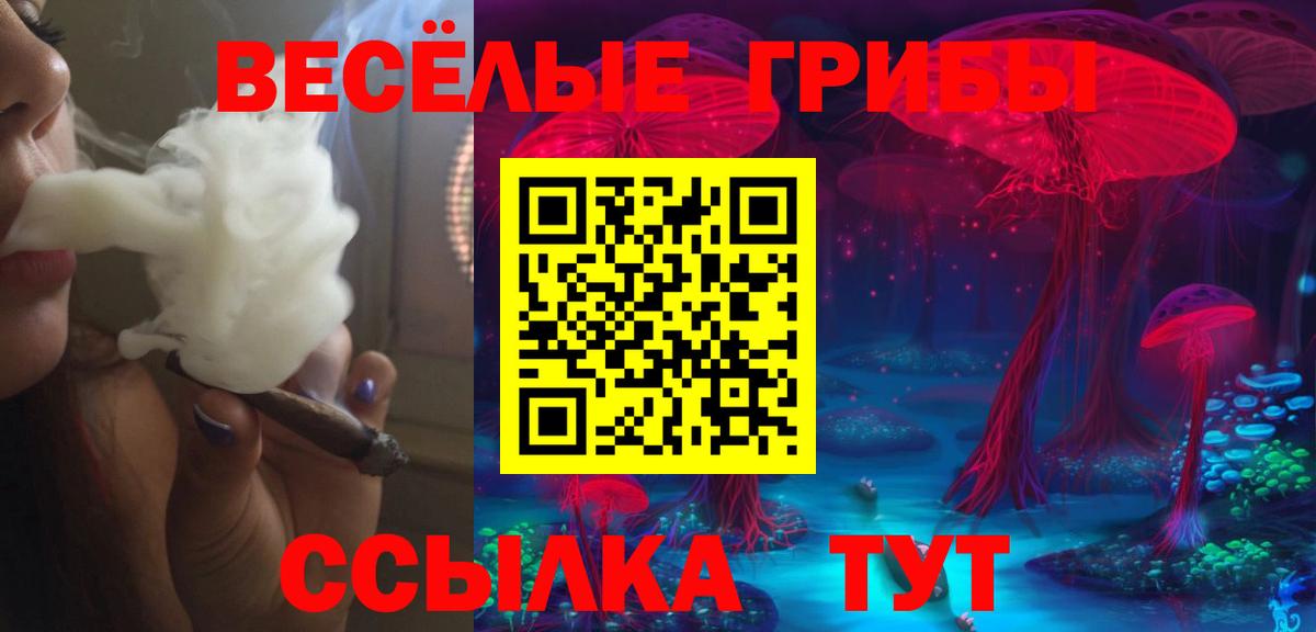 Бирск  Псилоцибиновые грибы прущие грибы  Вход с VPN  Галлюциногенные грибы Magic Shrooms 